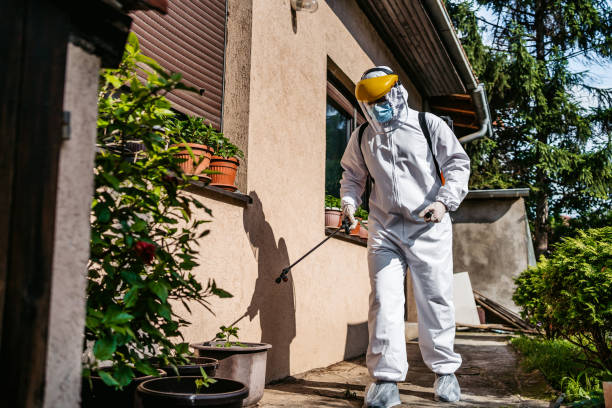 Best Emergency Pest Control  in Curtisville, PA