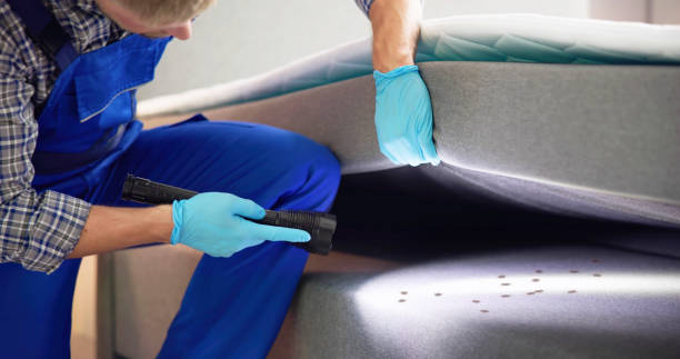 Best Best Pest Control Companies  in Curtisville, PA