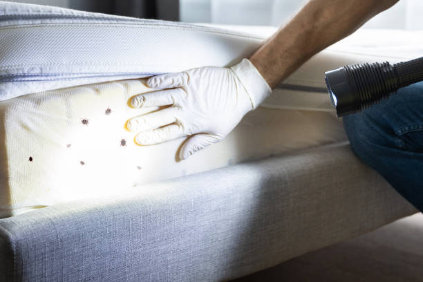 Best Exterminator Services  in Curtisville, PA