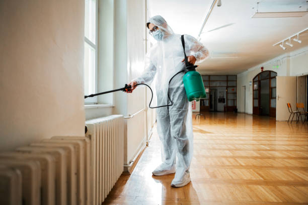 Best Rat Extermination Near Me  in Curtisville, PA