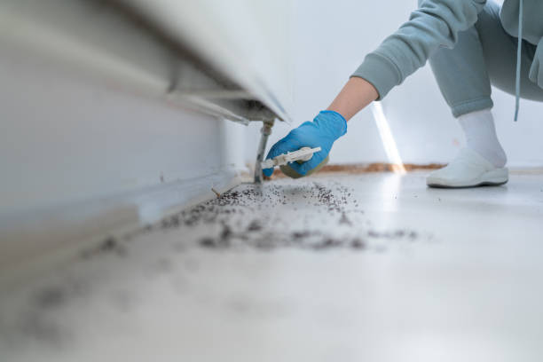 Best Pest Control Near Me  in Curtisville, PA